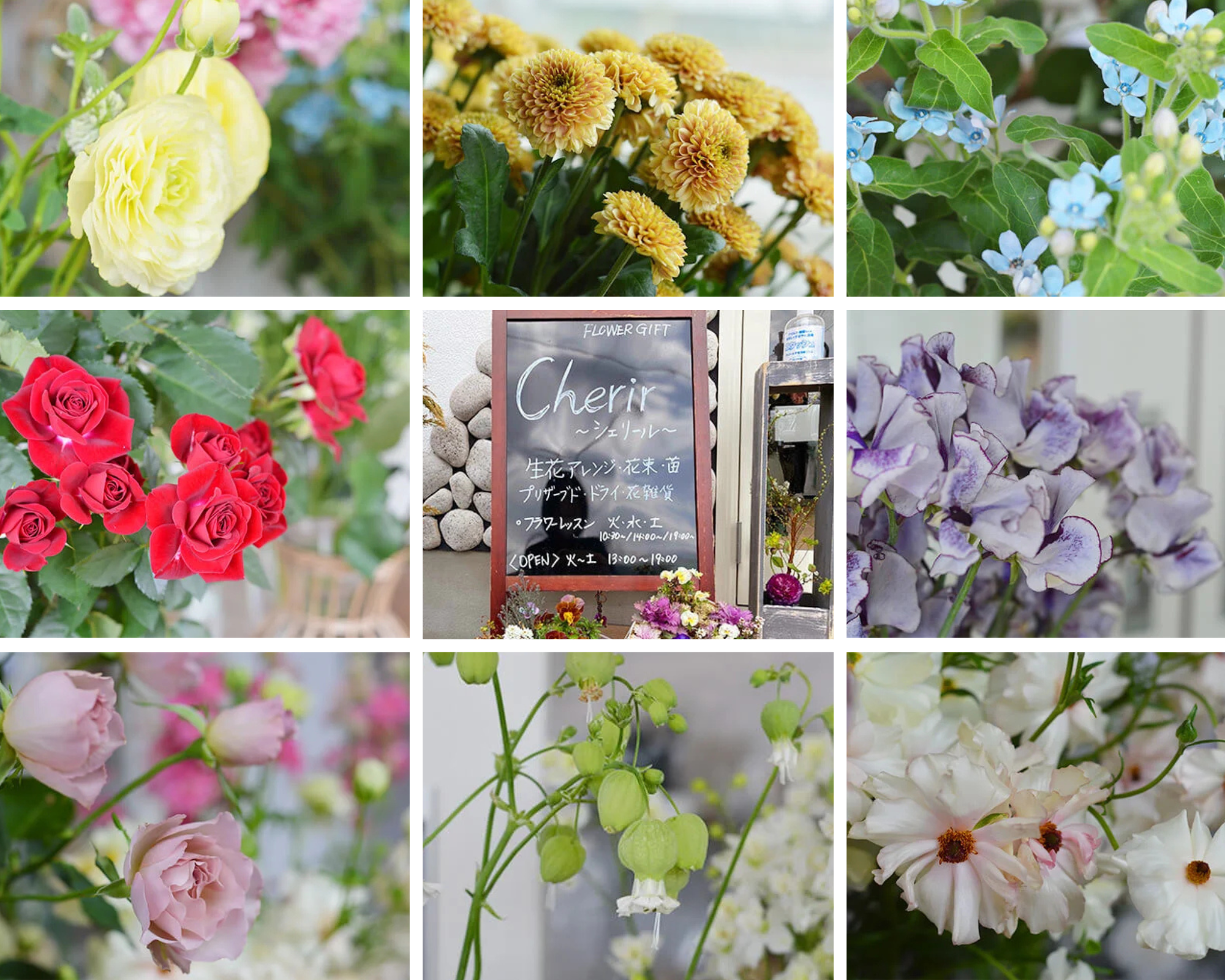 【山形・東根市】cherir（シェリール）｜おしゃれなお花屋さんで暮らしに彩りを アイキャッチ