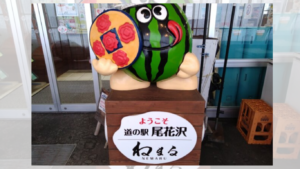 すいかソフトにすいかカレー？道の駅尾花沢「花笠の里ねまる」を紹介！ アイキャッチ