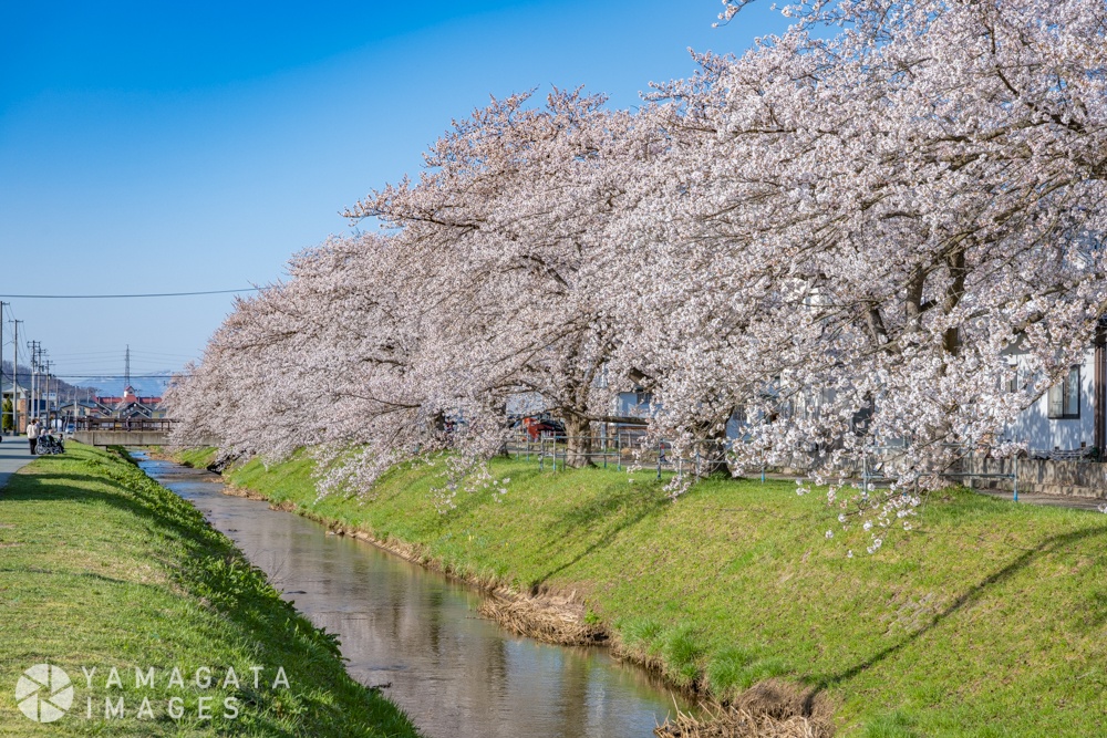 Yamagata images