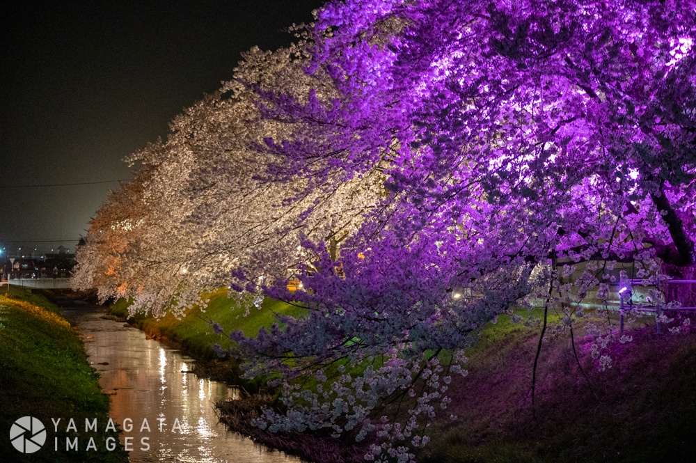 Yamagata Images2