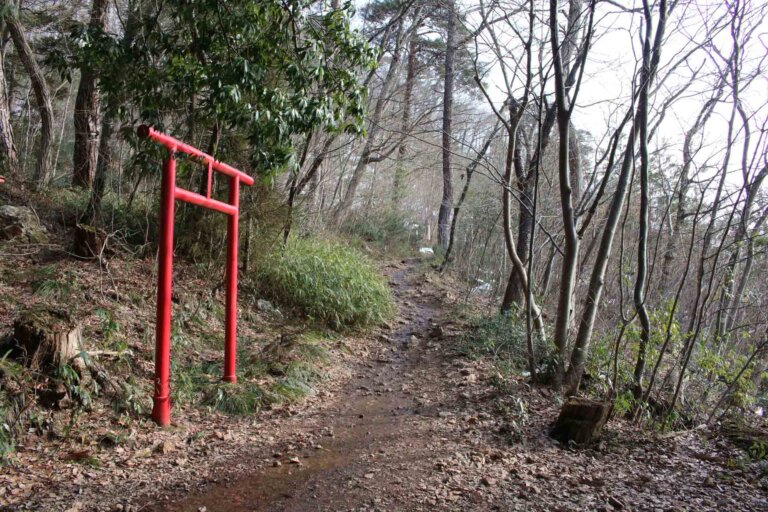 参道7