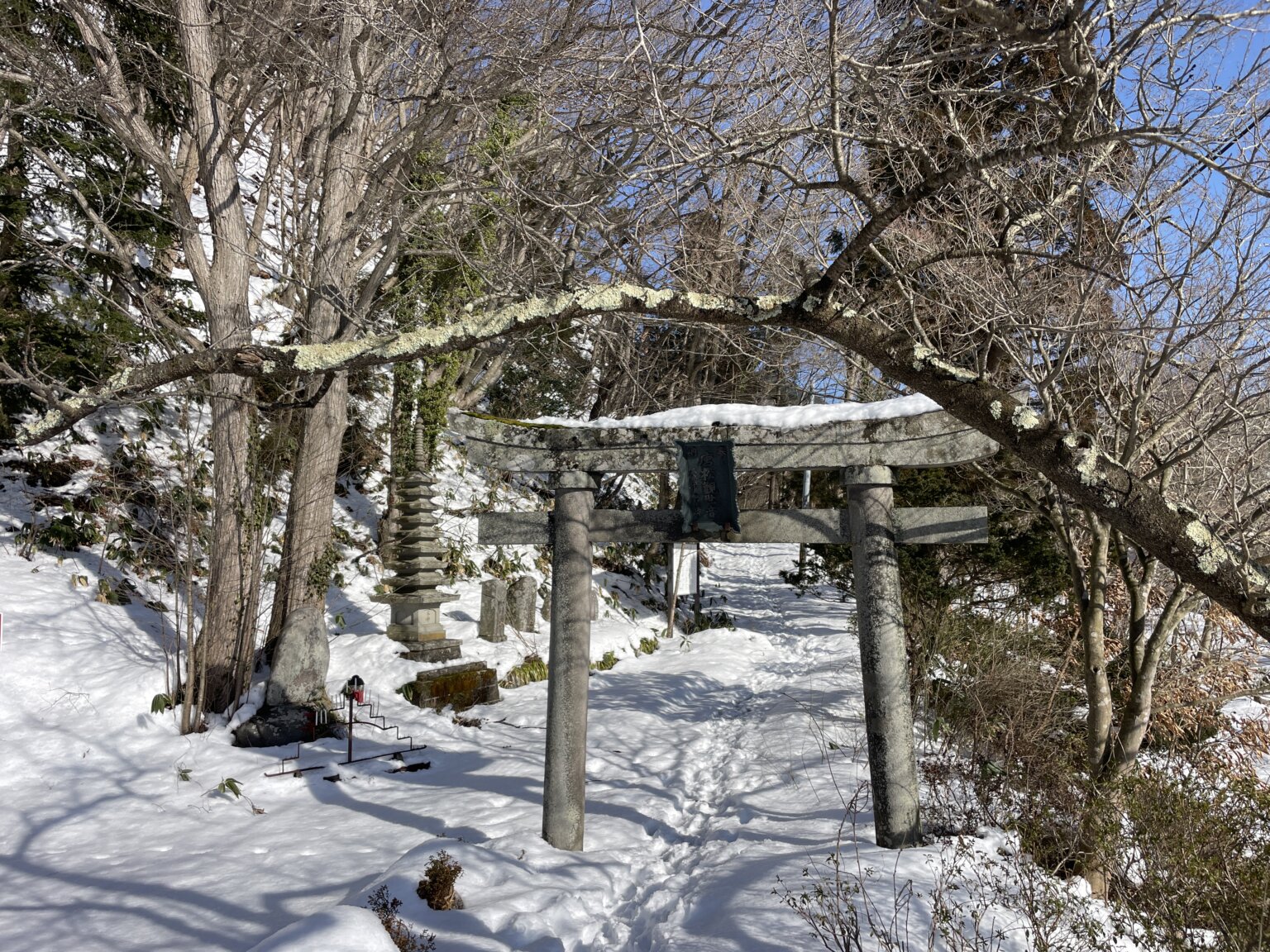 参道入口の鳥居