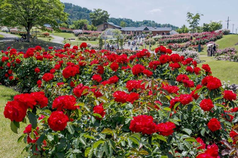 やまがたへの旅山形県公式観光サイト