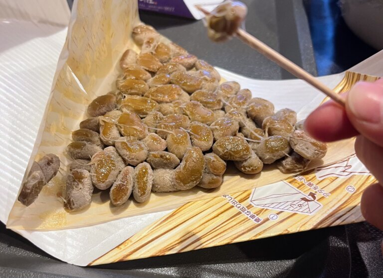 Yamagata Prefecture's Hiden-mame (large grain)