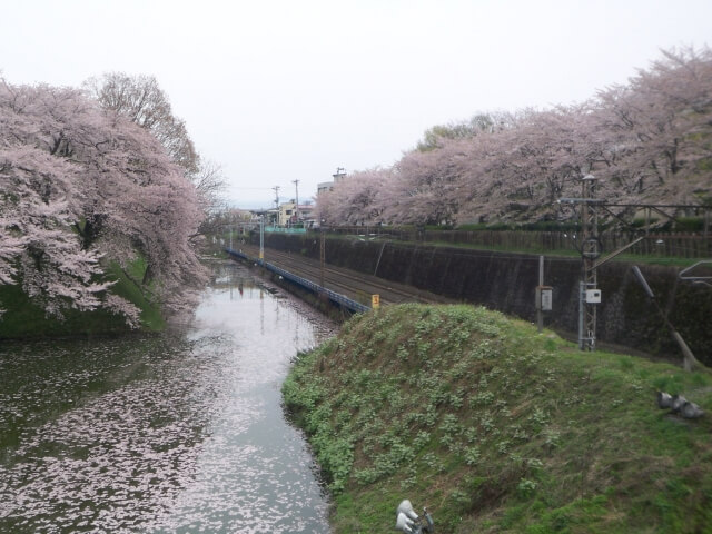 霞城公園