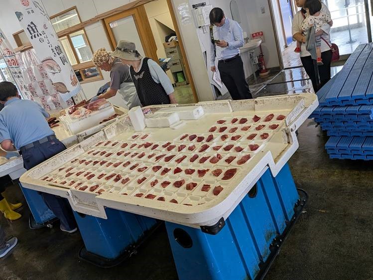 鼠ヶ関イカ・マグロまつり　解体された並ぶお刺身