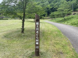 天童公園舞鶴山_さくら回廊案内