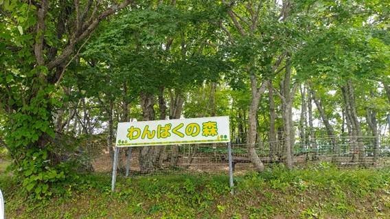 天童高原_わんぱく広場1