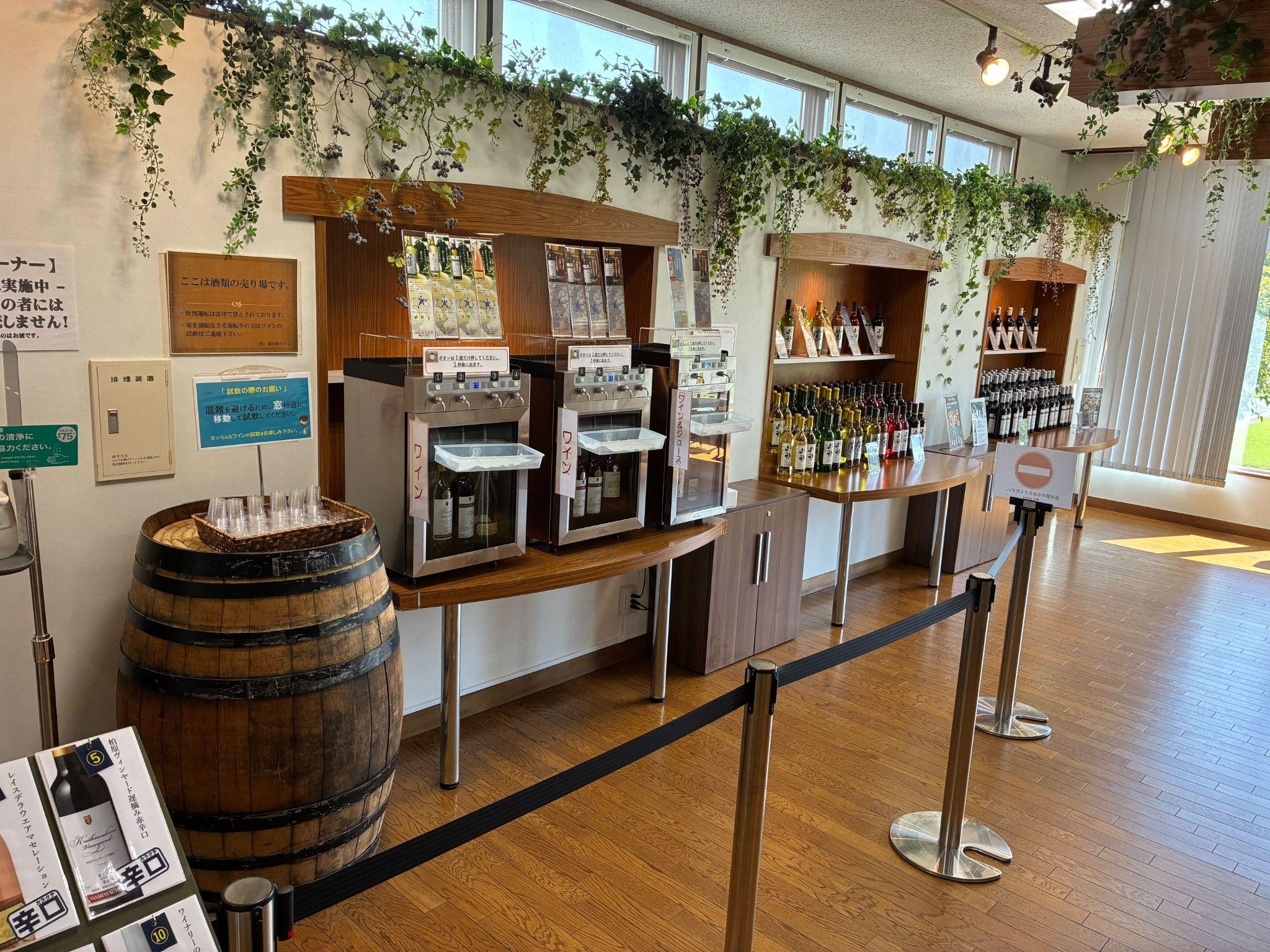 朝日町ワイン_試飲コーナー