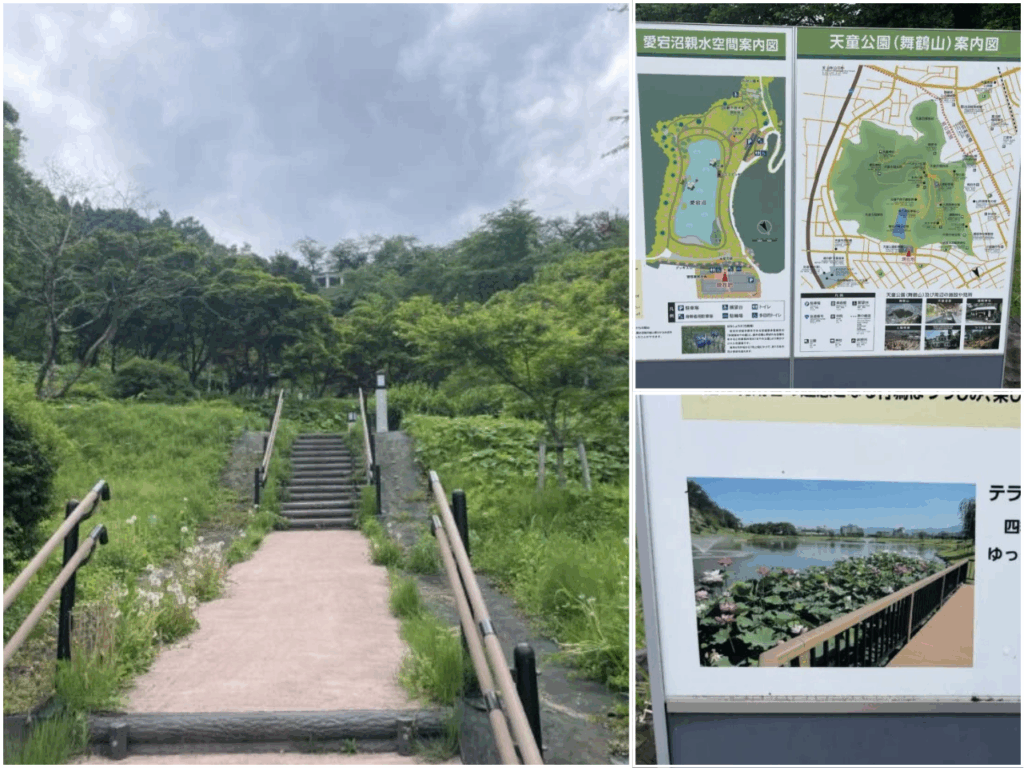 散策路スロープや各種案内板