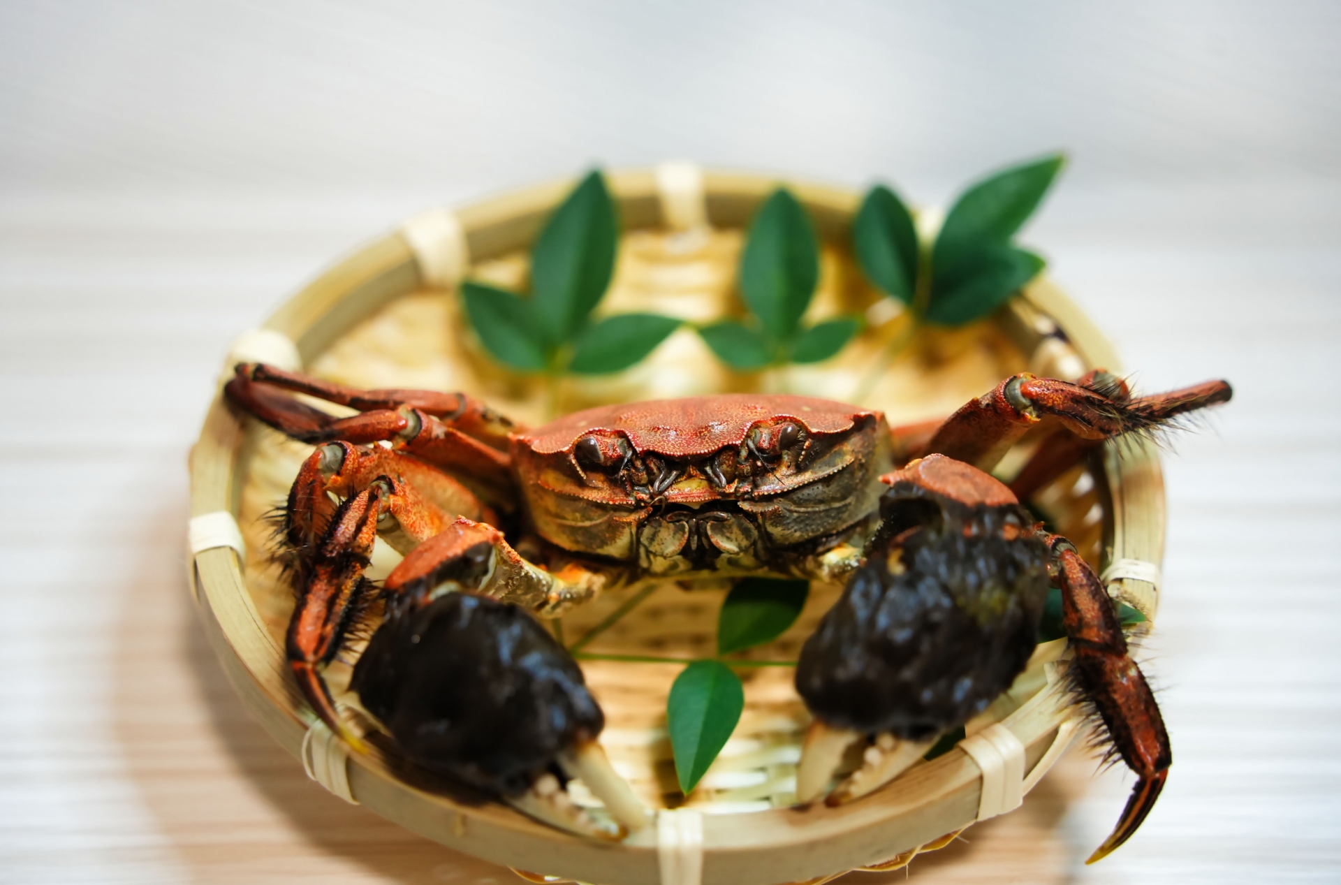 モクズガニと川の恵み｜全国で親しまれる川ガニと山形・庄内の味 アイキャッチ