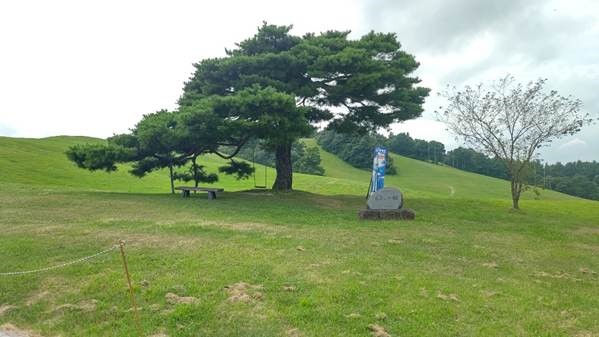 天童高原_