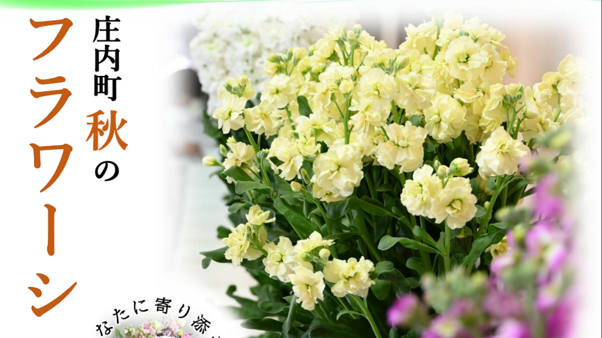 【11/20イベント情報】庄内町 秋のフラワーショー アイキャッチ