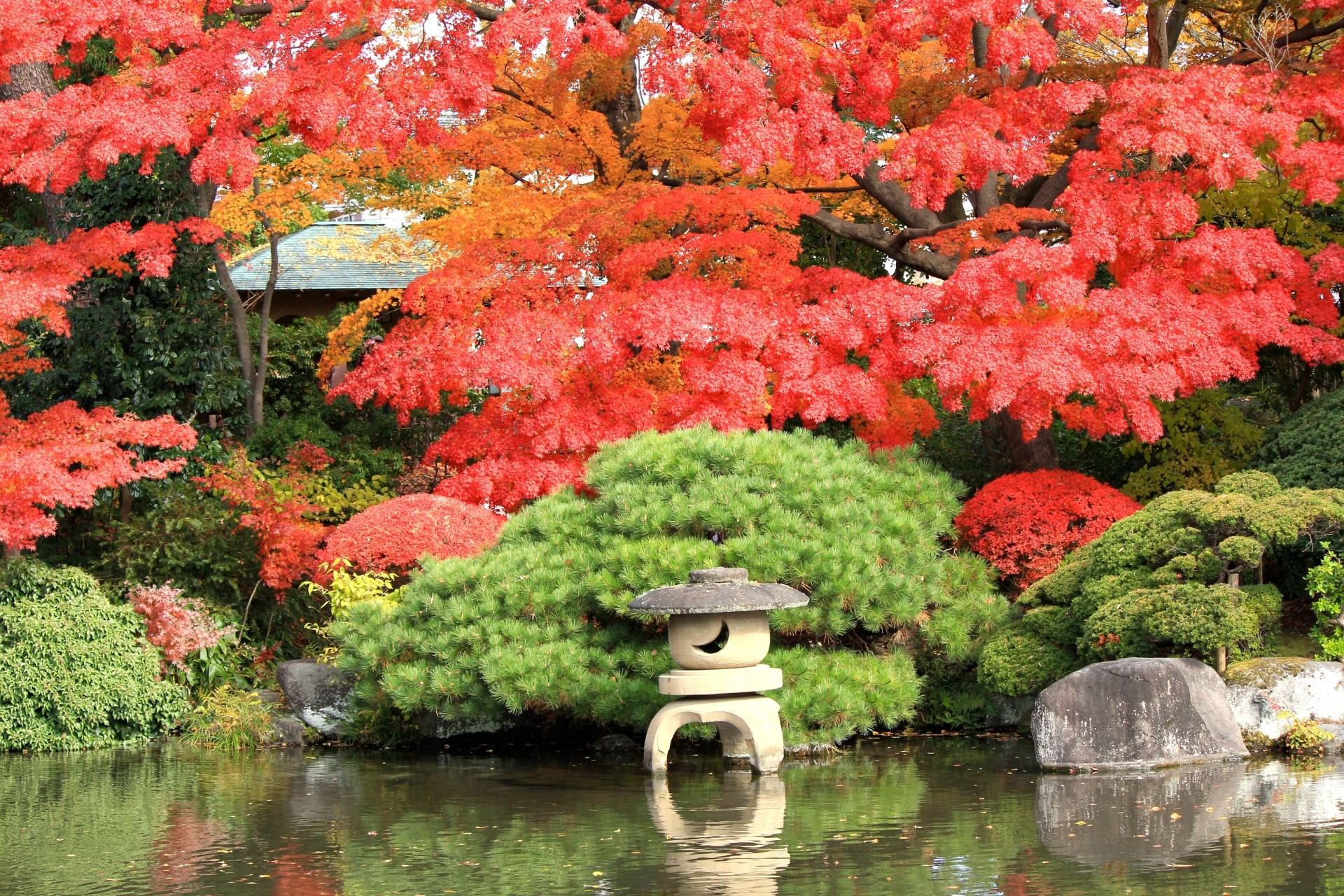 Autumn foliage spots : 11 famous places to see and visit in Yamagata! アイキャッチ