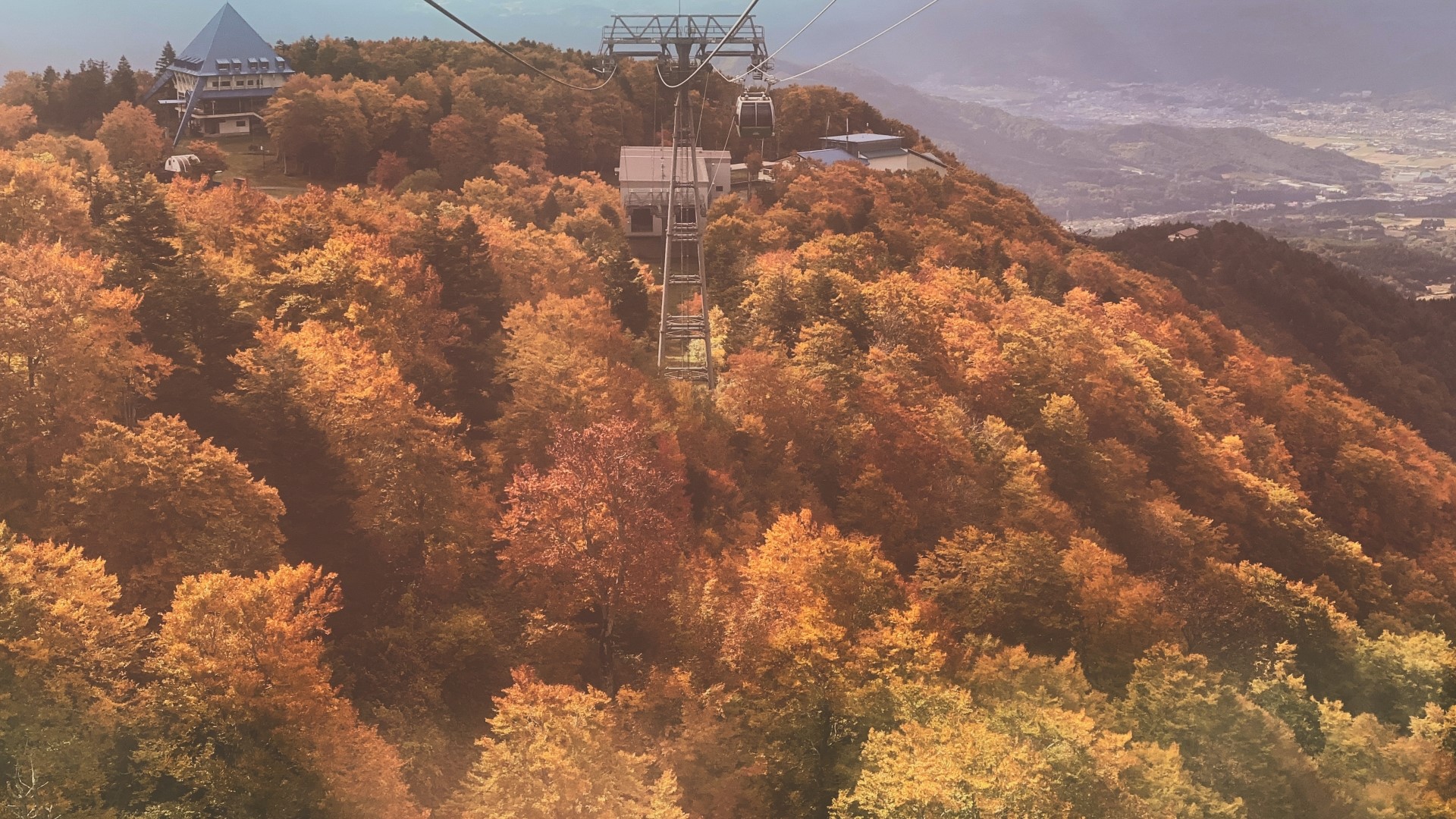ロープウェイと紅葉