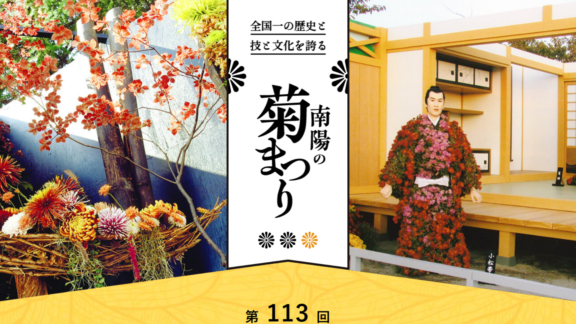 【10/3-11/5イベント情報】南陽市 第113回 南陽の菊まつり アイキャッチ