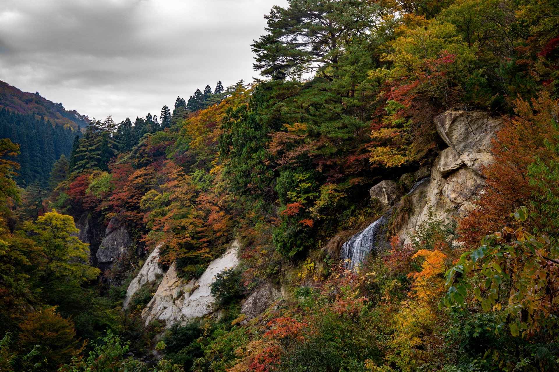 面白山紅葉川渓谷
