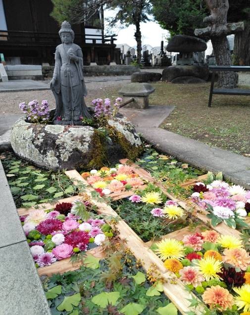 三宝寺_天童 _水屋花