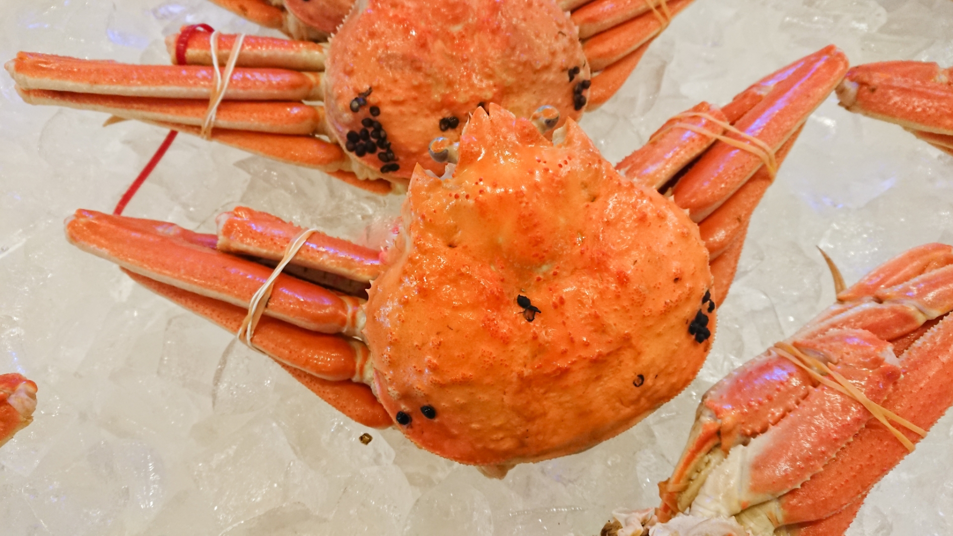 市場のズワイガニ