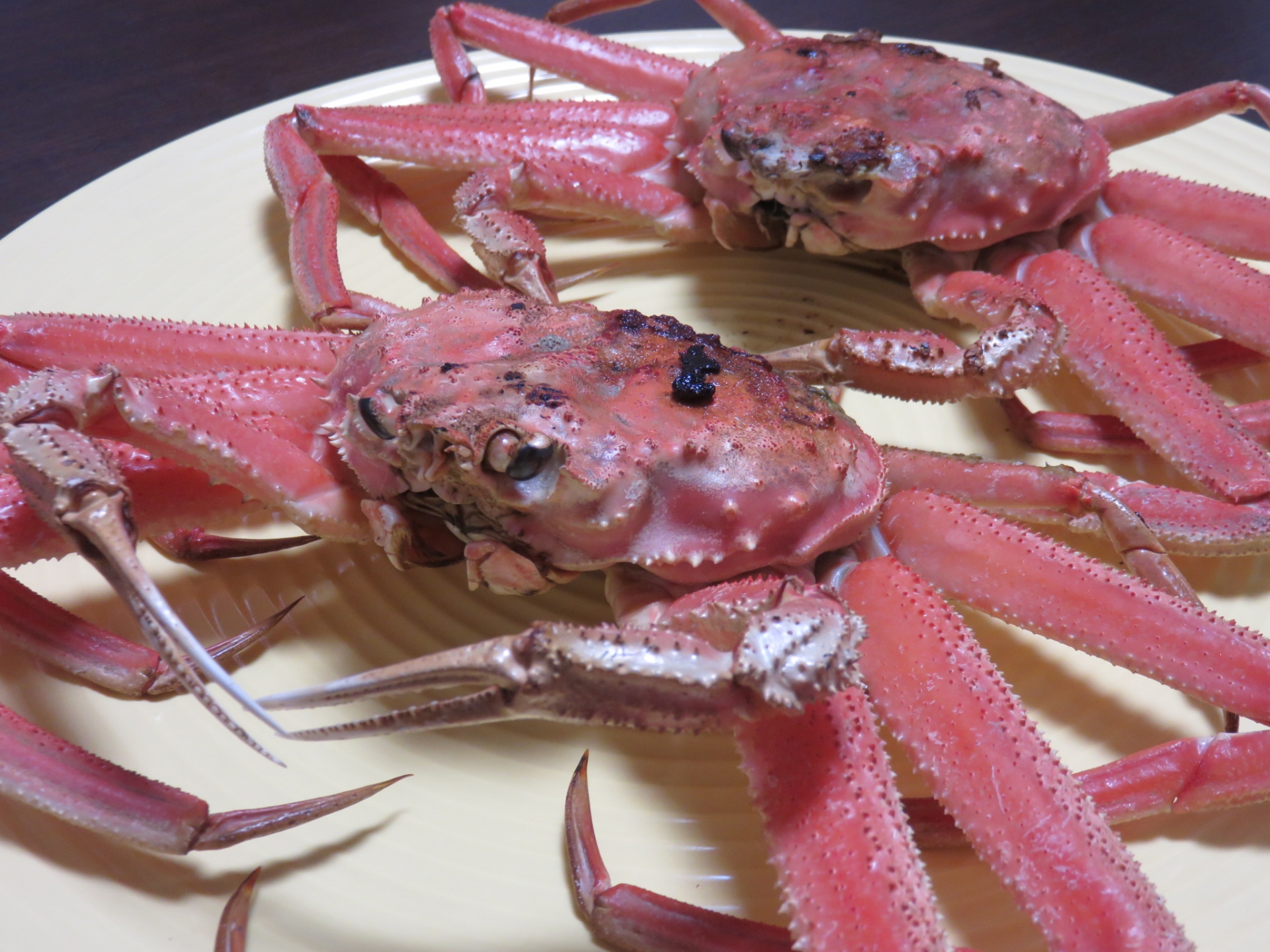 オオズワイガニ