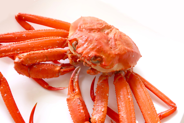 ベニズワイガニ