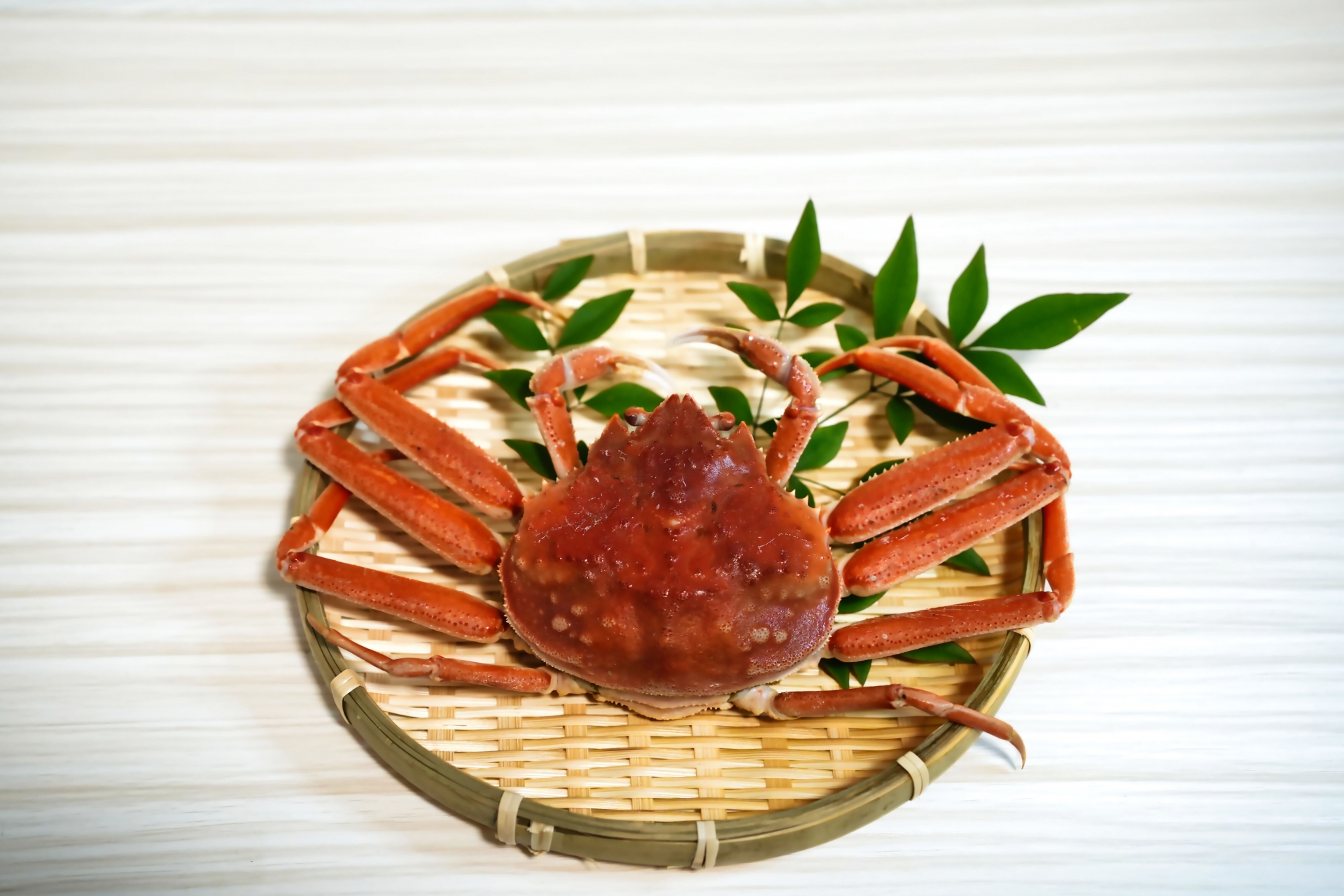 オオズワイガニ