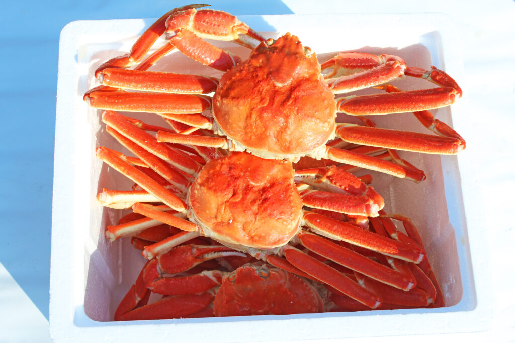 箱に入ったカニ