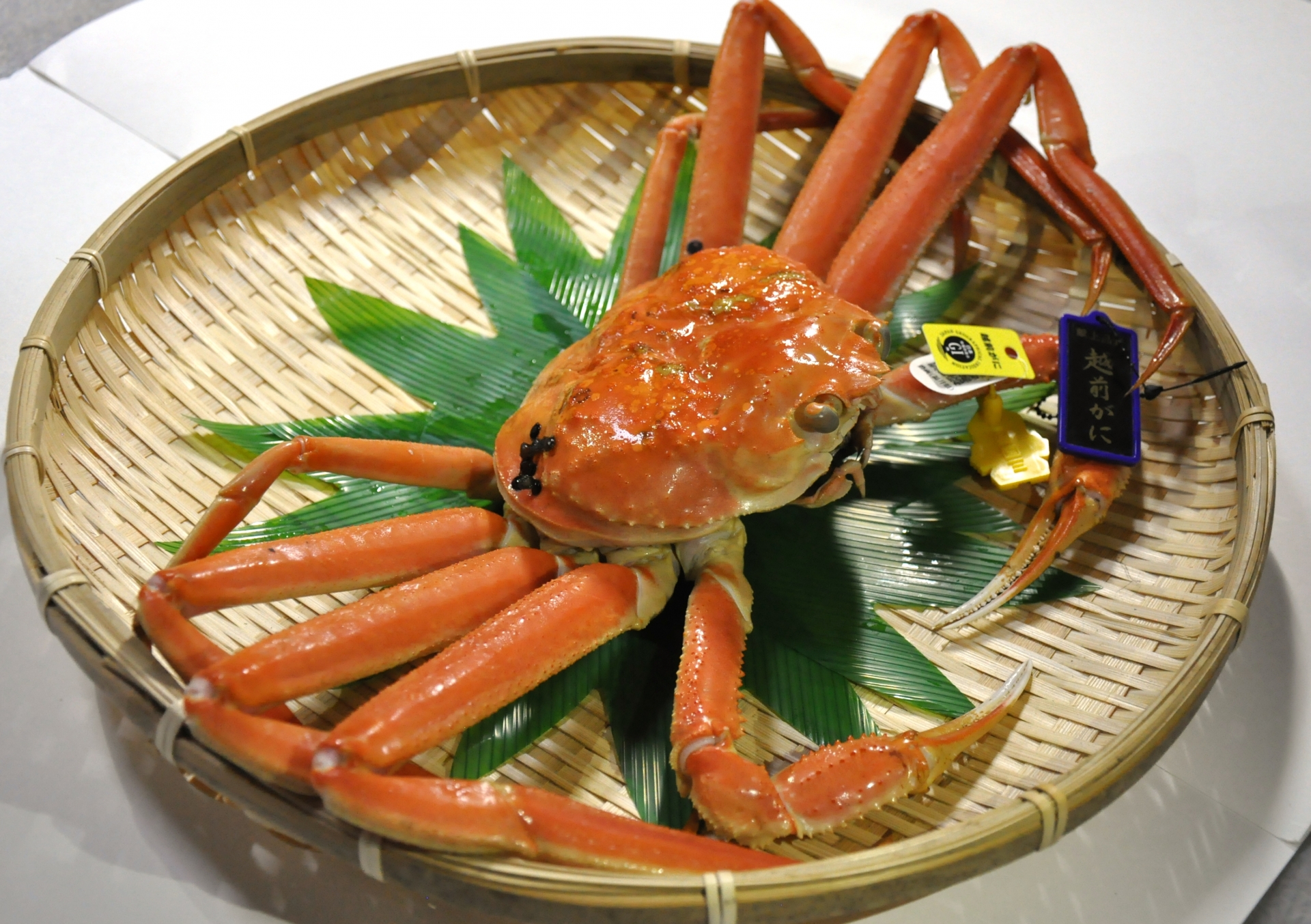 タグ付きズワイガニ