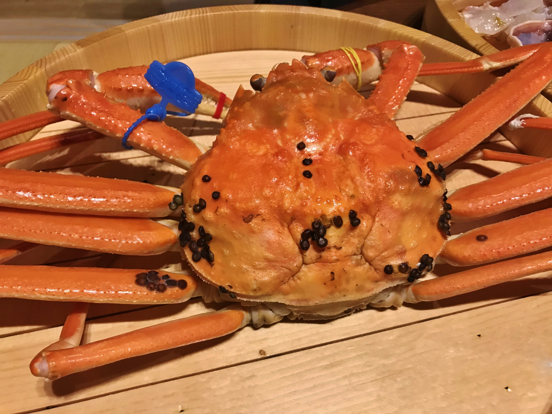 タグ付きのズワイガニ