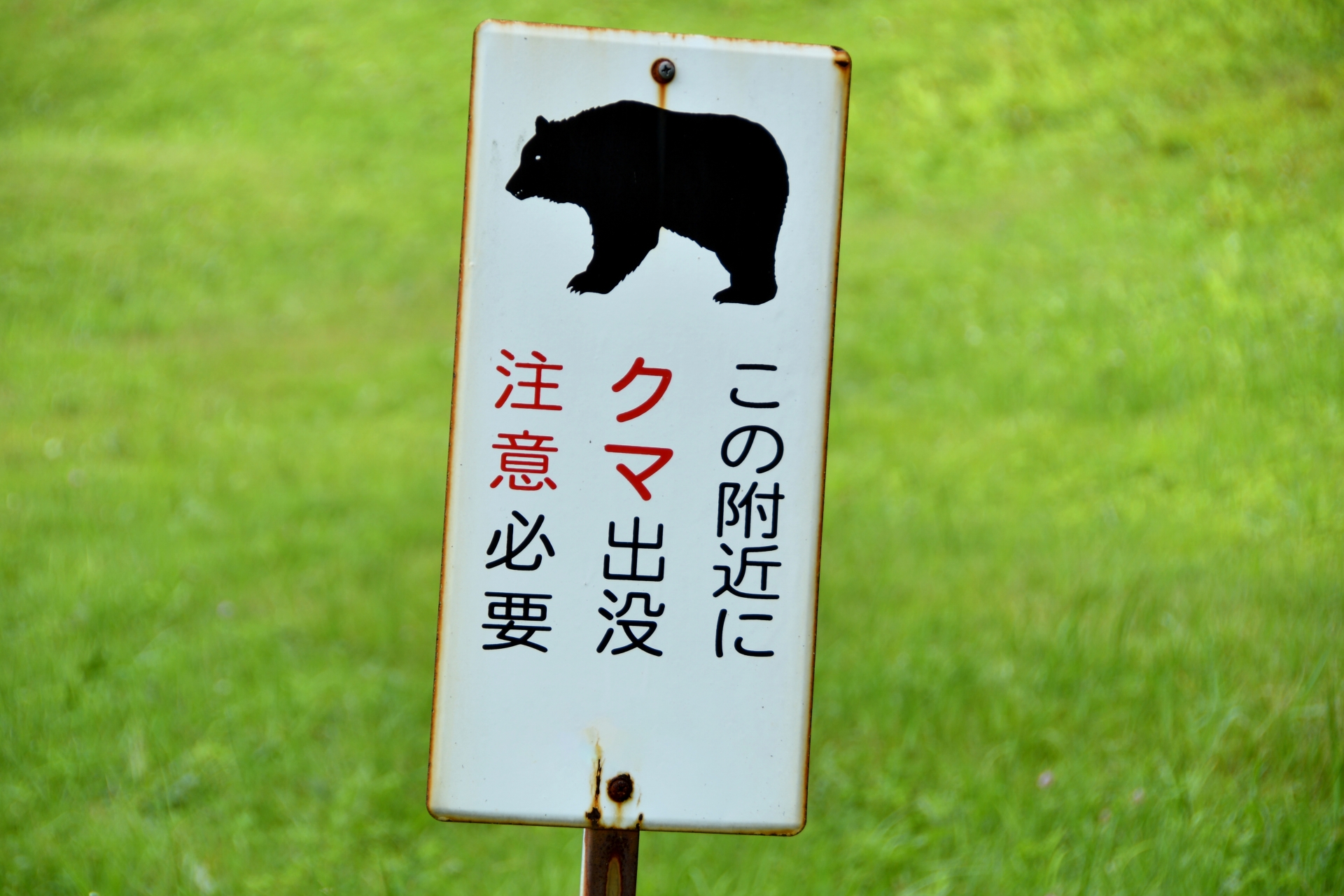 クマ出没注意の看板