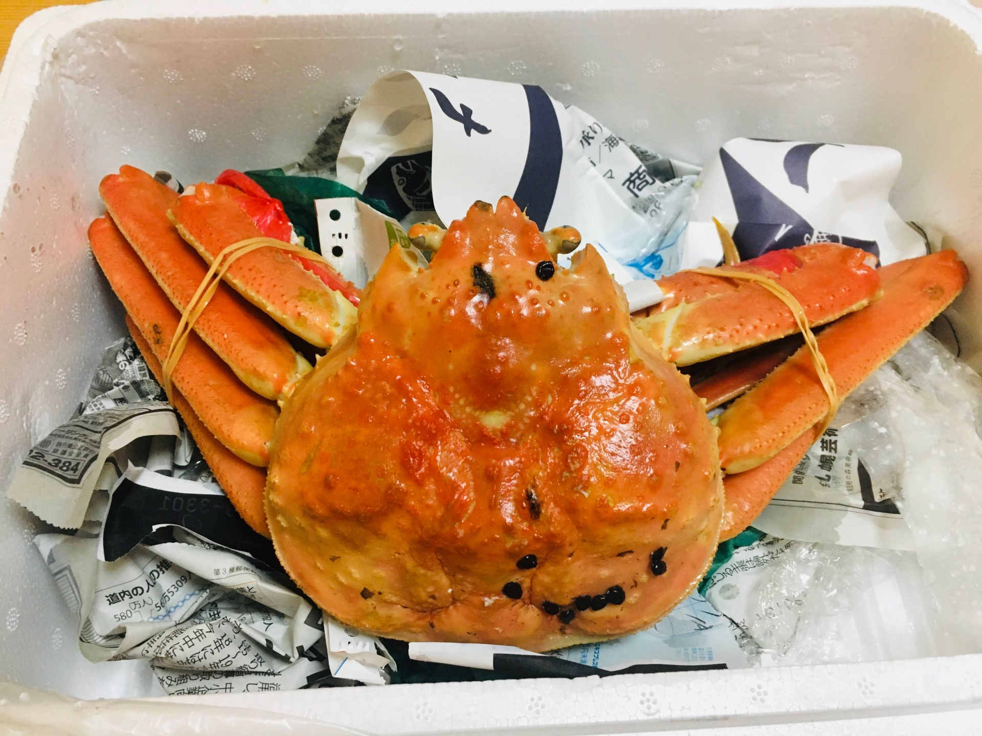 箱に入ったカニ
