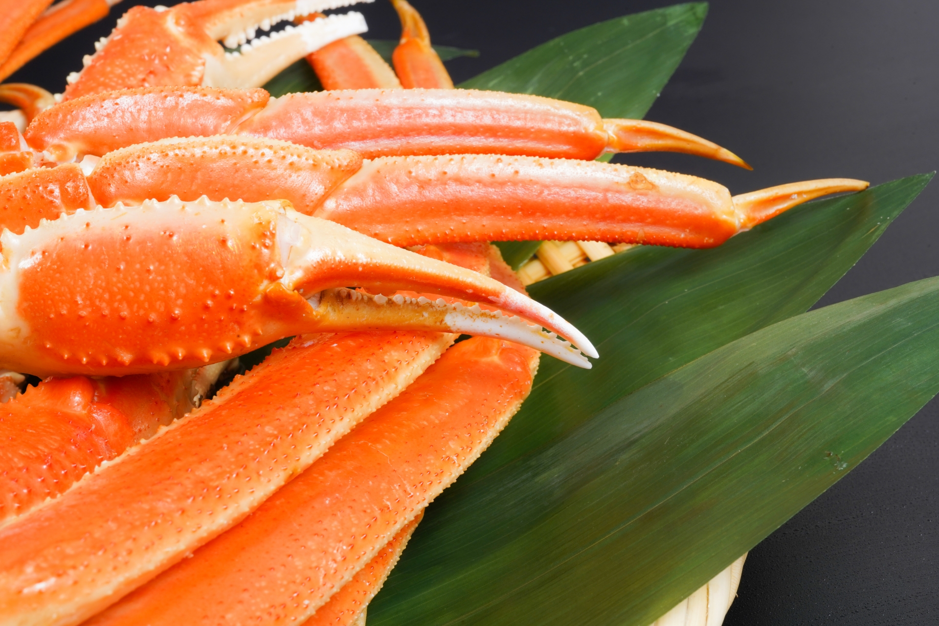 ズワイガニの脚