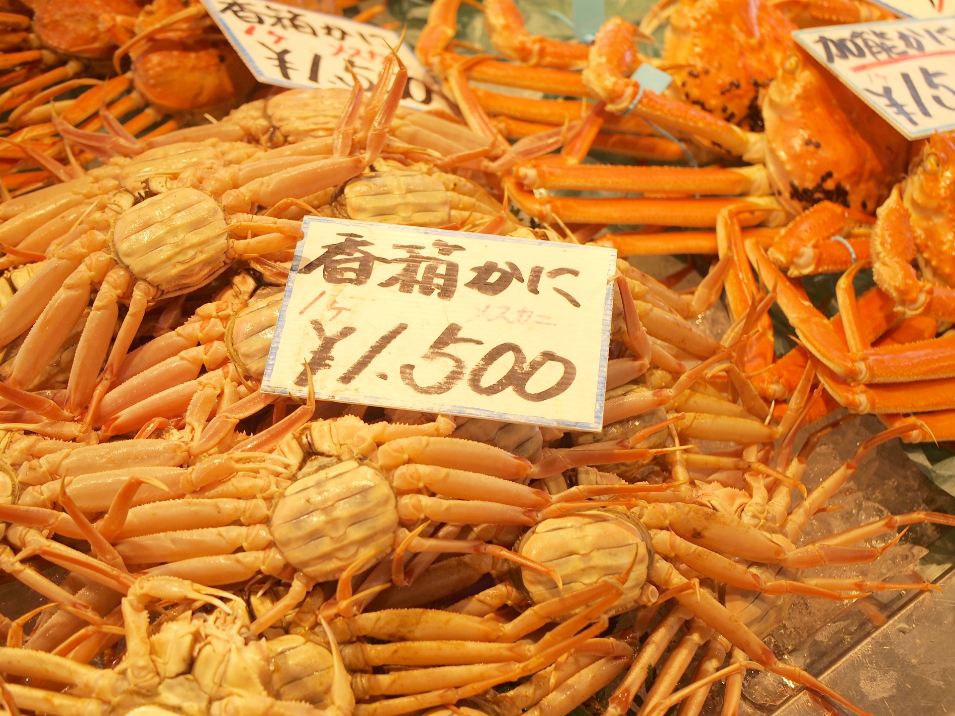 市場で売られる香箱ガニ