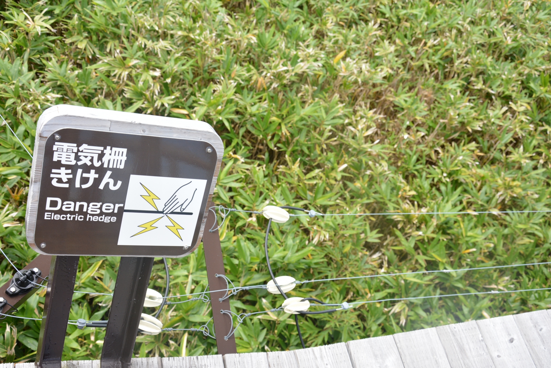 電気柵きけんの看板と電気柵