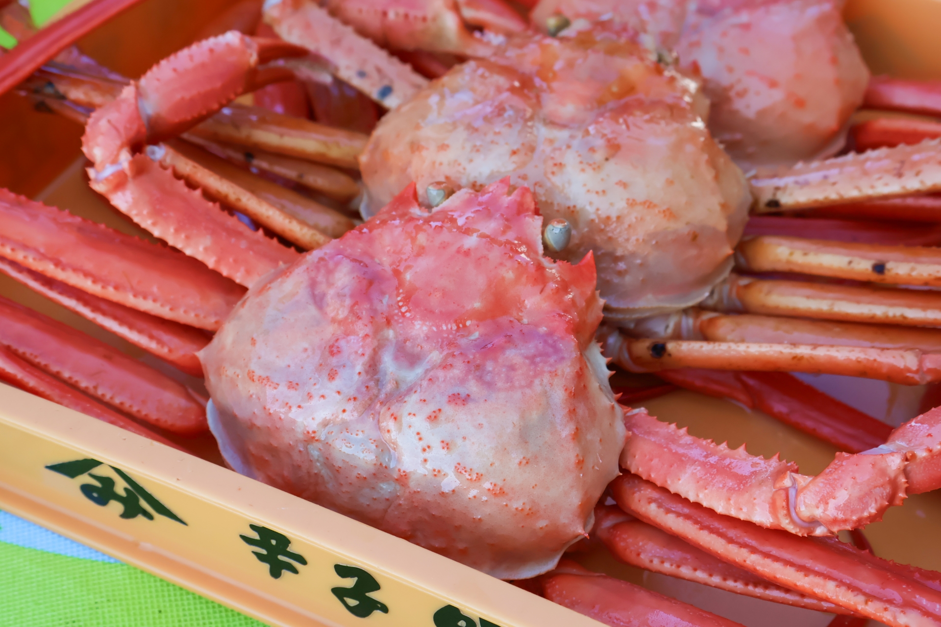 能生（のう）カニ徹底ガイド！海の幸と日本海文化を味わう アイキャッチ