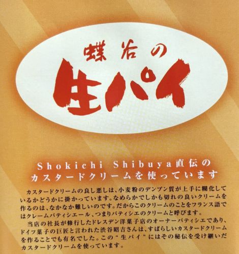 生パイとは？