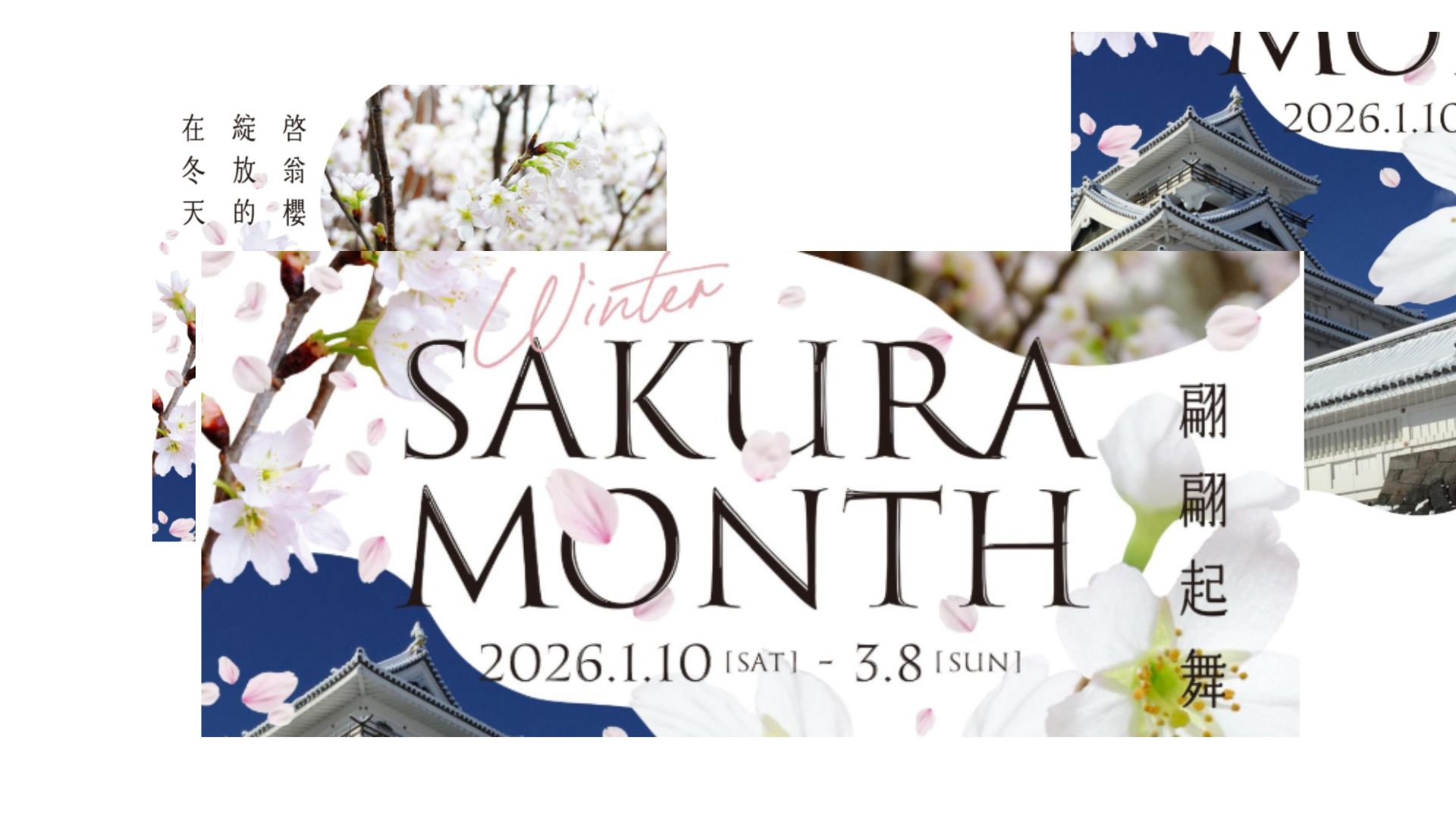 【2/21イベント情報】上山市　WINTER SAKURA FESTIVAL ～日本一早咲きの啓翁桜まつり～ アイキャッチ