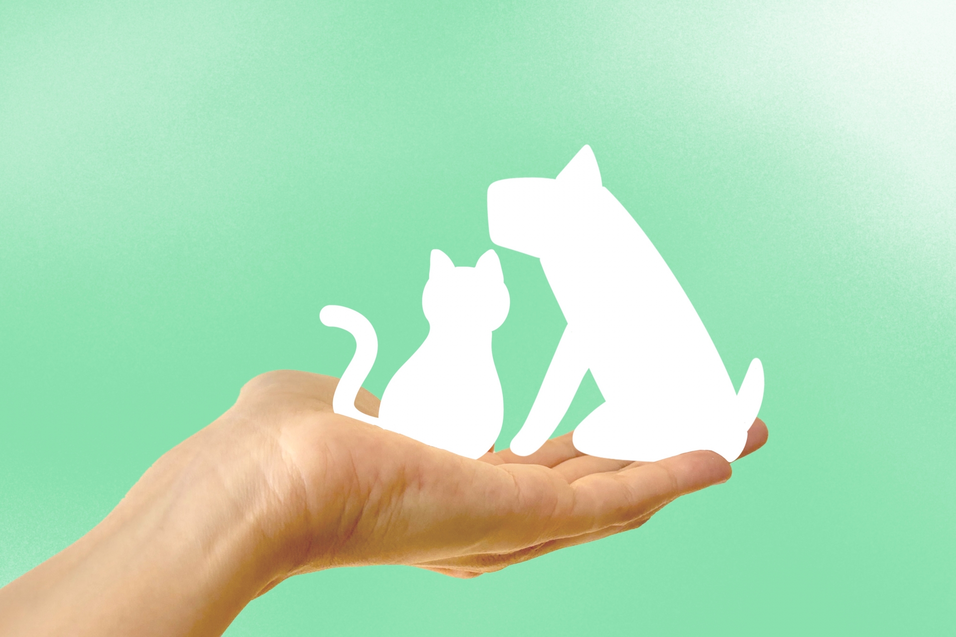 犬と猫のシルエット