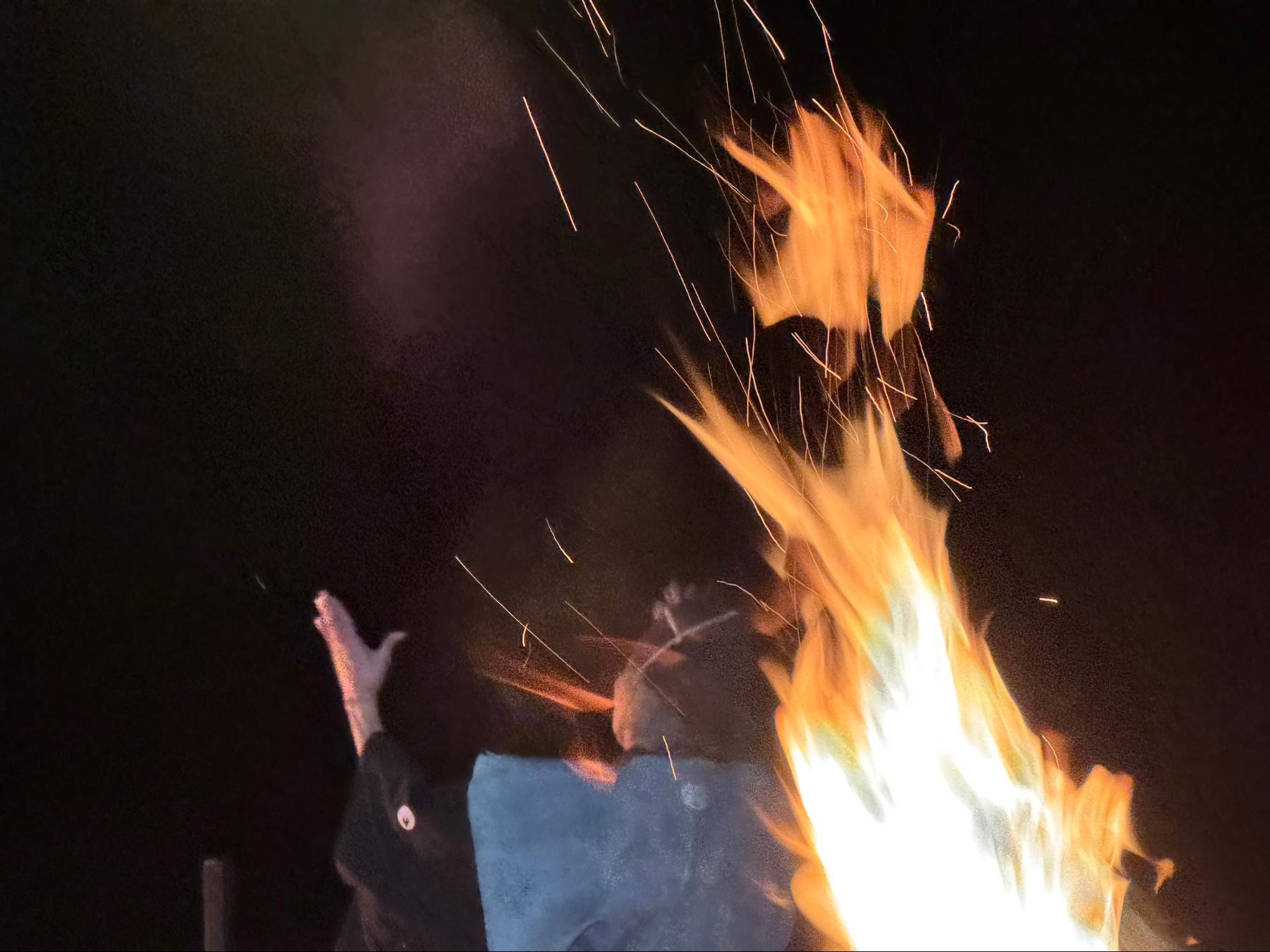 迫力のある演舞