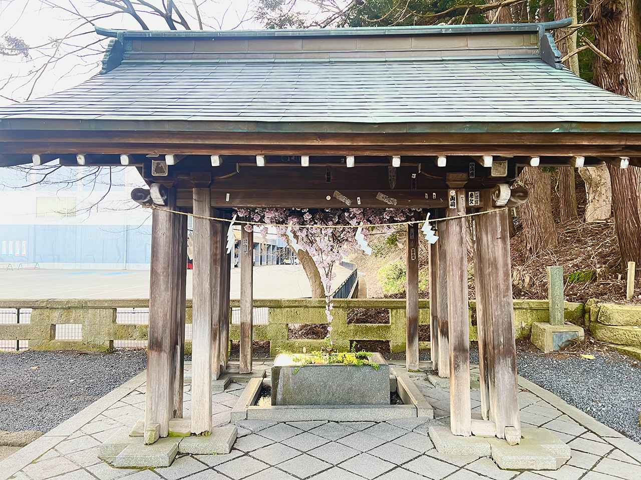 花手水の写真