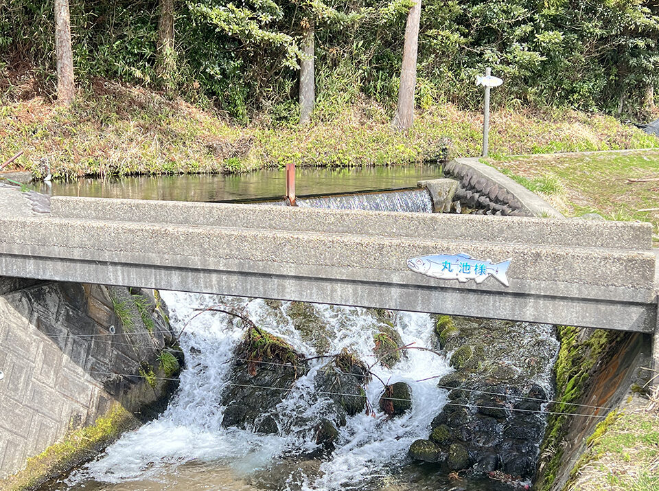 牛渡川を渡るための橋
