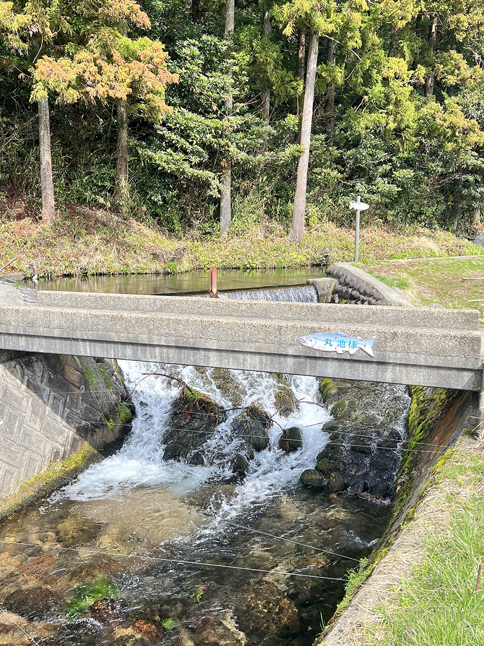 牛渡川を渡るための橋