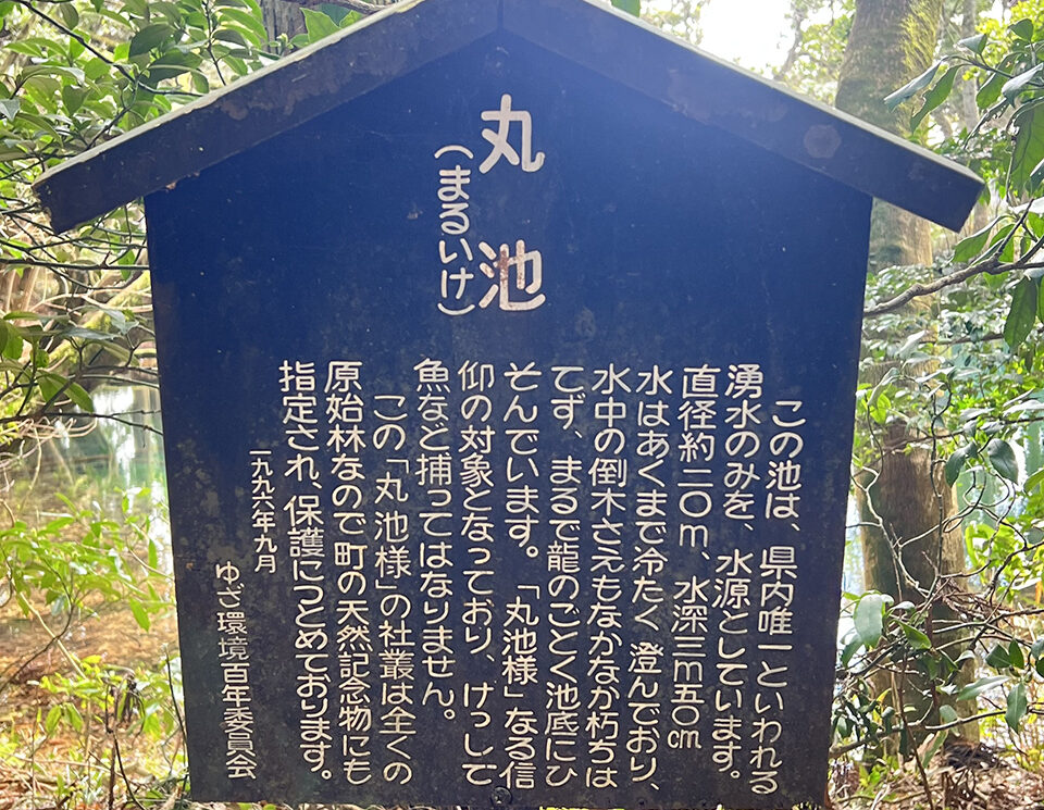 丸池様の大きさや説明が書かれた案内板