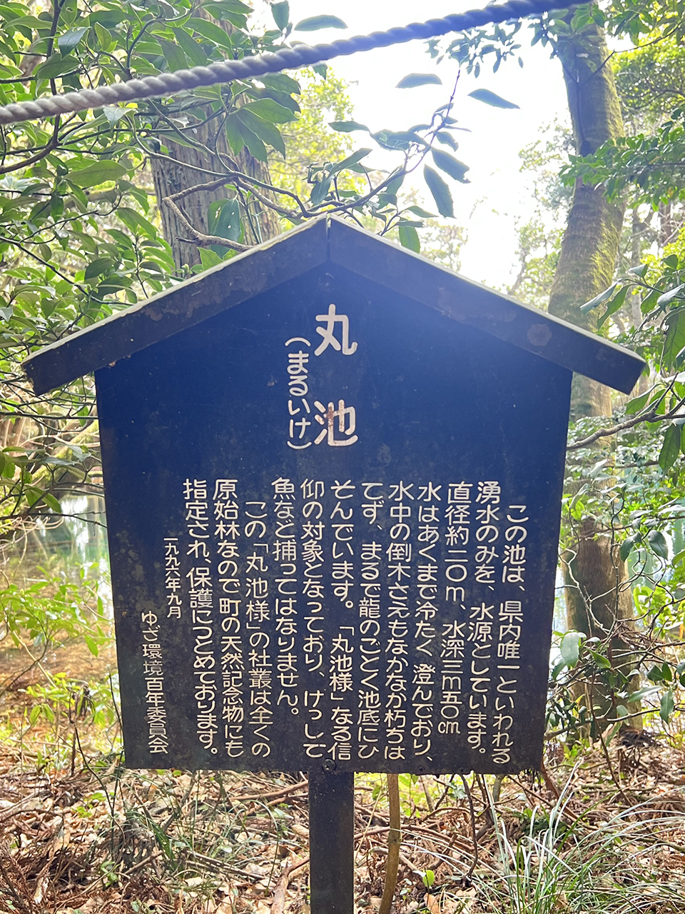 丸池様の大きさや説明が書かれた案内板