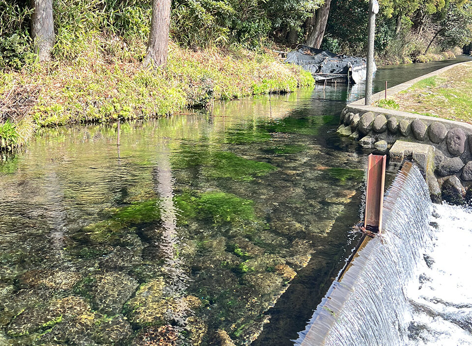 透明度の高い川と石が見える水路、右側に小さな堰と流れ落ちる水