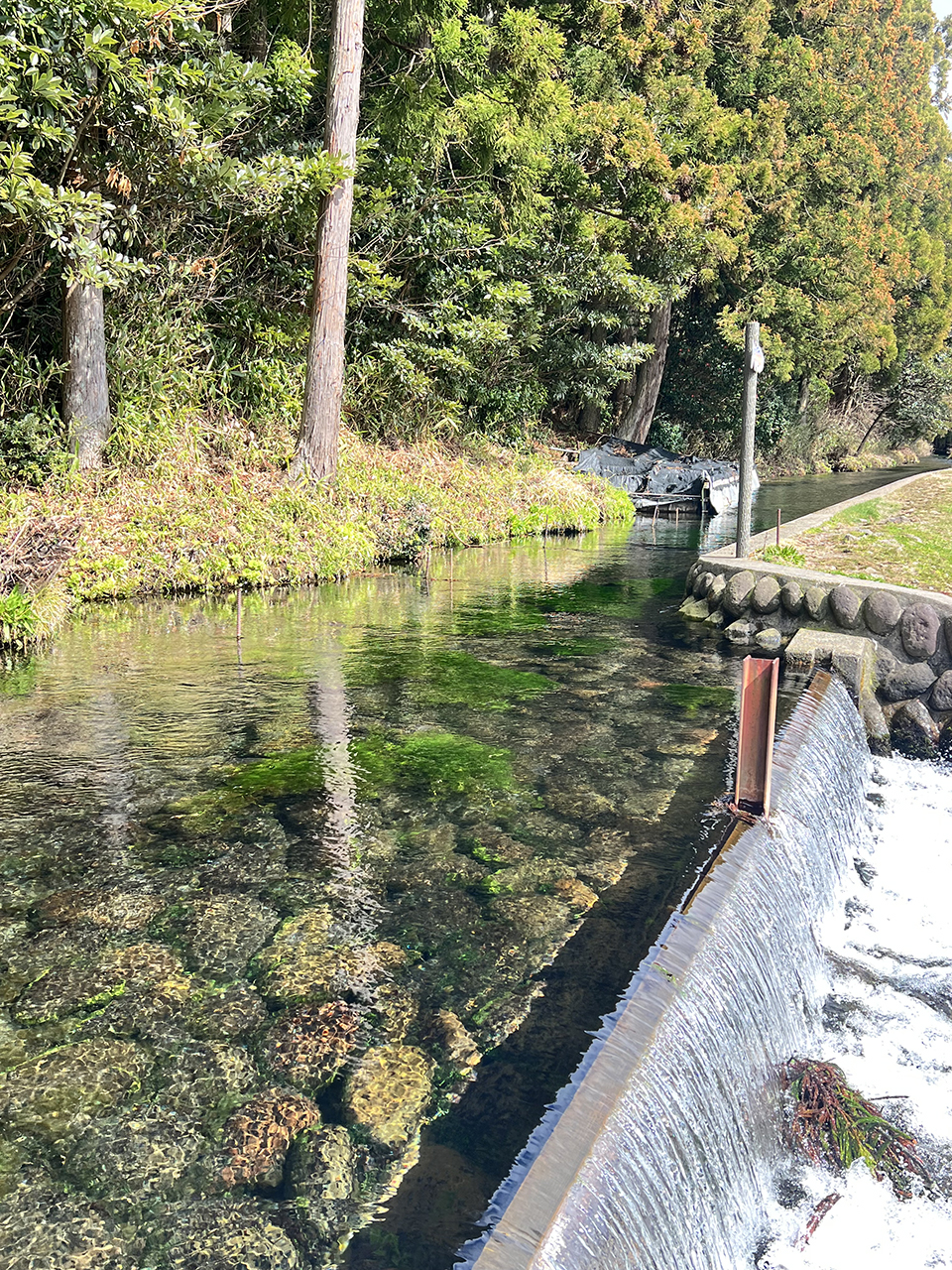 透明度の高い川と石が見える水路、右側に小さな堰と流れ落ちる水