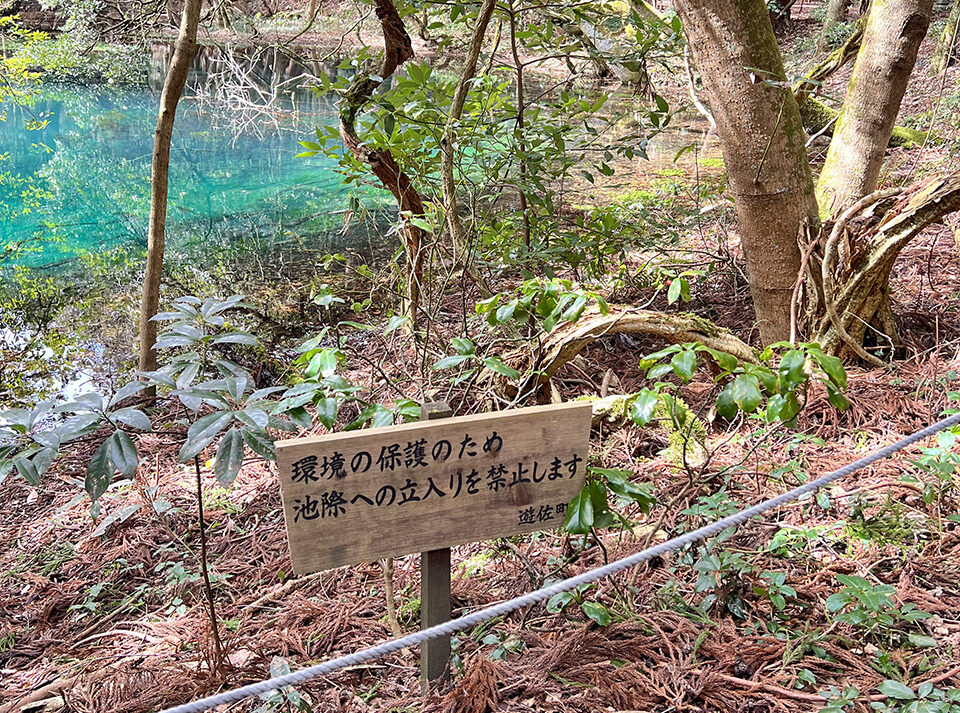 丸池様の前には注意喚起看板が設置されています。