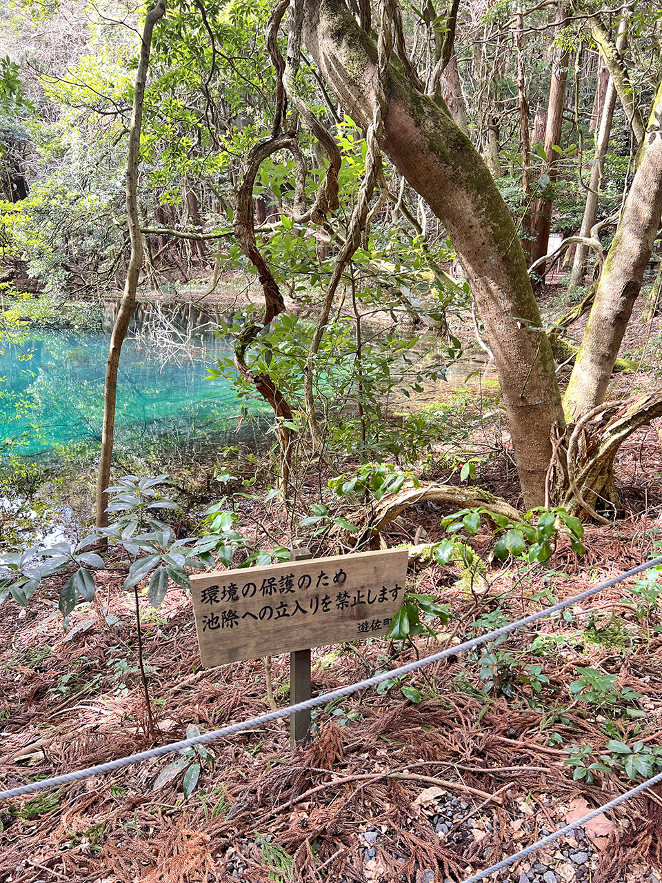 丸池様の前には注意喚起看板が設置されています。