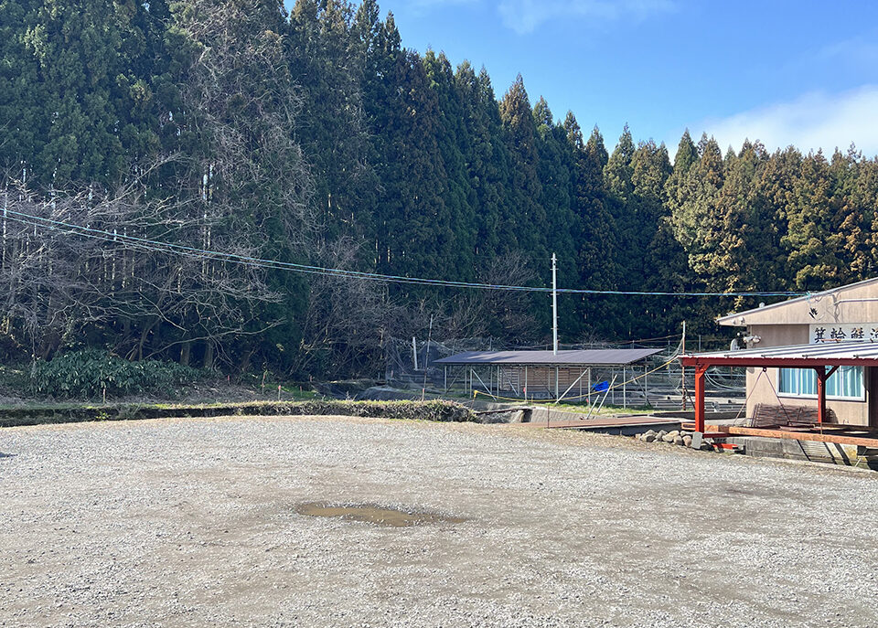 自然に囲まれた駐車場の写真です。