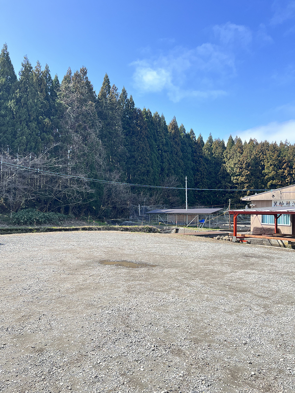 自然に囲まれた駐車場の写真です。